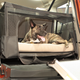 Image for article titled Honda Element Dog Friendly Concept Is For The Dogs